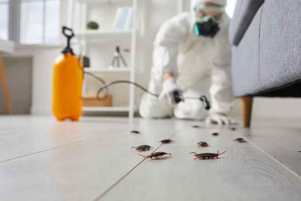 Commercial Kitchen Cockroach Control in Darby